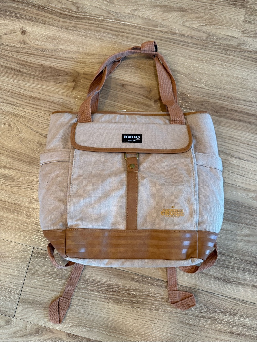 Igloo Beige and Brown Insulated Canvas Backpack Tote